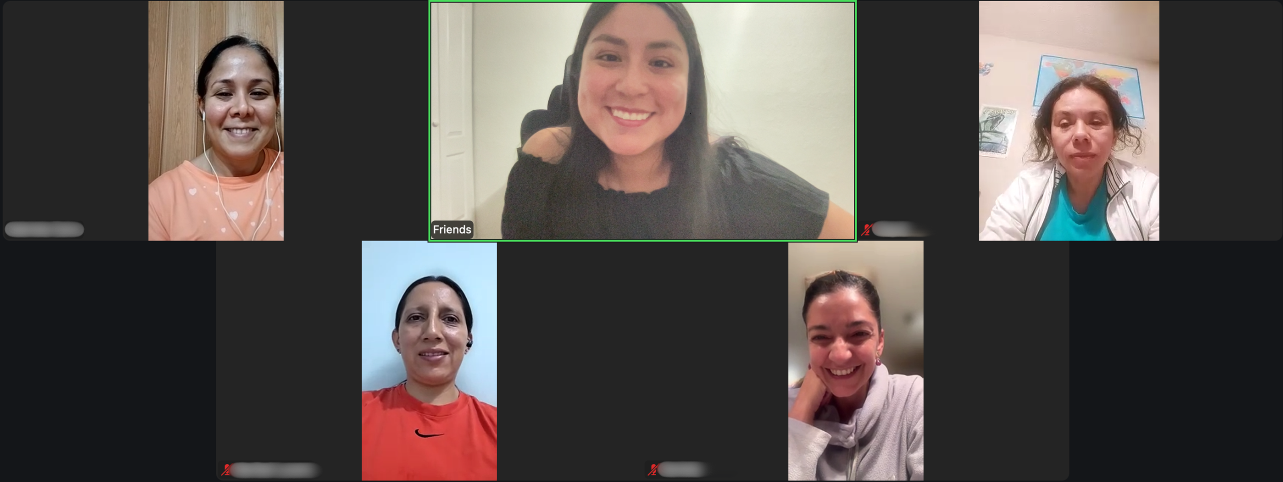 Group photo of May's virtual parent group